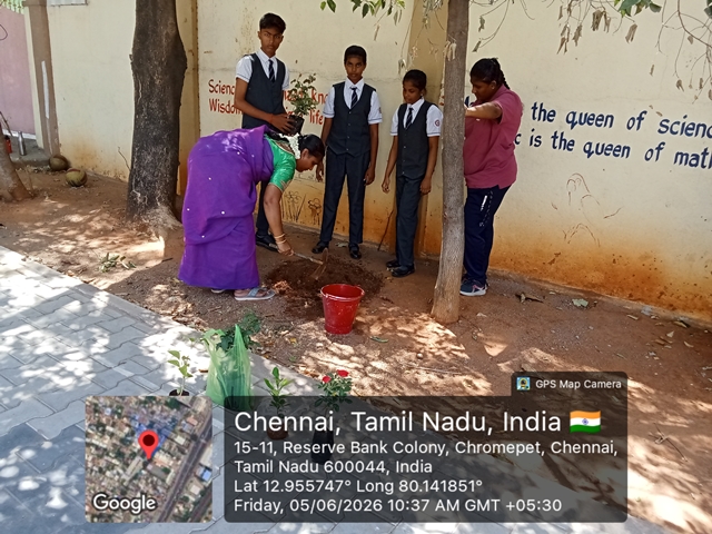 WORLD ENVIRONMENT DAY